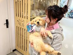 -共舞时光猫咖·狗咖(新街口店)
