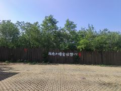 -大塘金香草谷