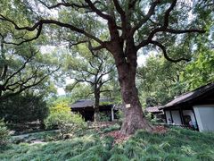 -惠山古镇·寄畅园