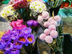 -花草间花行(法华镇路店)