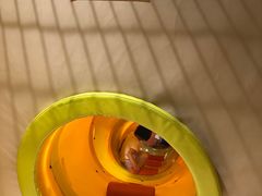 -上海乐高探索中心