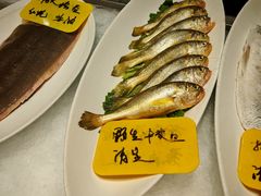 -新丁香海鲜酒店(银海商贸城店)