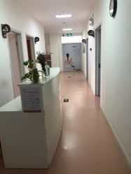 -北京安琪