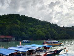 -真浪大家乐海鲜餐馆