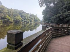 -青城山