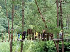 -九龙江国家森林公园