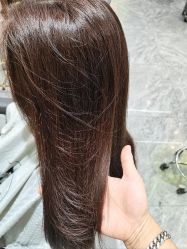-MODEL SAGA名媛世家