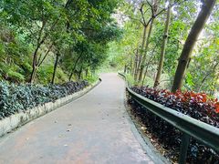 -东莞市大岭山森林公园