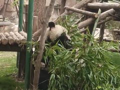 -五龙山野生动物王国