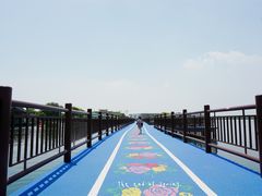 -鹅湖玫瑰文化园