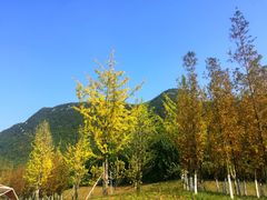 -贵阳市花溪国家城市湿地公园