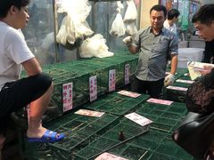 -荔城生鲜盛宴(番禺旗舰店)