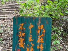 -龙道沟景区