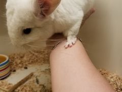 -龙猫仔乐园(惠福东路店)