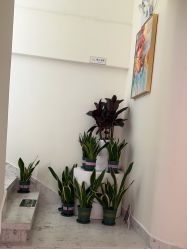 -海涛医疗美容·面部抗衰·注射美鼻