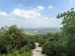 -北京西山国家森林公园