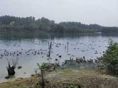 -淇河国家湿地公园