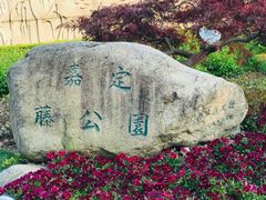 -嘉定紫藤园