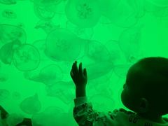 -沈阳海洋探索中心