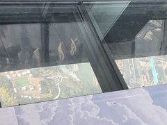 -上海环球金融中心骑迹50年环球之旅