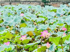 -广州市紫泥堂文化创意园景区