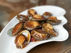 -鲁前海沿儿