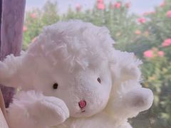 -花味·自助烤肉(雨花客厅店)