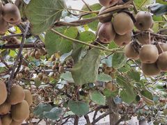 -溪口-滕头旅游景区