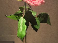 -和子足浴SPA会馆(梁溪店)