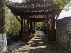-桂湖森林公园