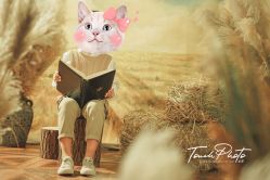 -韩国童感TOUCH PHOTO儿童摄影(朝阳分店)