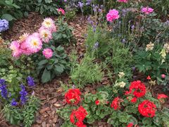 -深圳国际园林花卉博览园