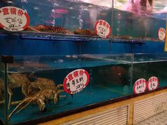 水产区-潮喜竹溪荔湖酒家(荔枝湾店)