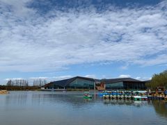 -上海长兴岛郊野公园