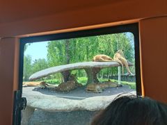 -北京野生动物园