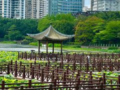 -南宁南湖公园