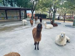 -杭州野生动物世界