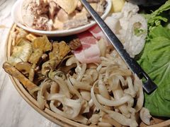 -滇铺子·云南特色菜·第九届野生菌美食节(曲靖万达店)
