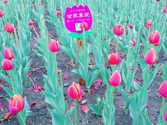 -长春公园(普阳街道)