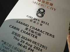 -影汇之星8字形摩天轮