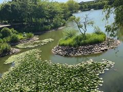 -东台西溪天仙缘景区