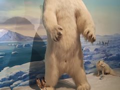 -陕西自然博物馆