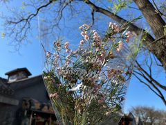 -VOYAGE COFFEE(北锣鼓巷店)