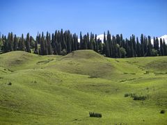 -新疆那拉提国家旅游度假区