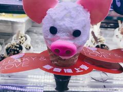 -野人先生现做冰淇淋(北京顺义祥云小镇店)