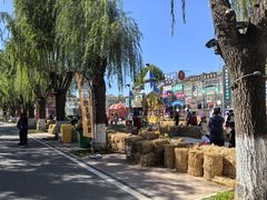 -北戴河集发农业梦想王国