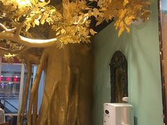 -傣妹火锅(罗宾森购物中心店)