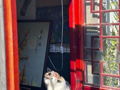-527烧烤·龙虾·精酿酒(小石城美乐城店)
