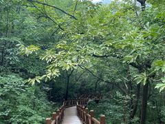 -大岭沟猕猴桃谷风景区