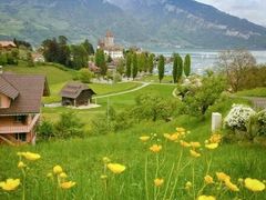 -绿茶餐厅(华联万柳店)